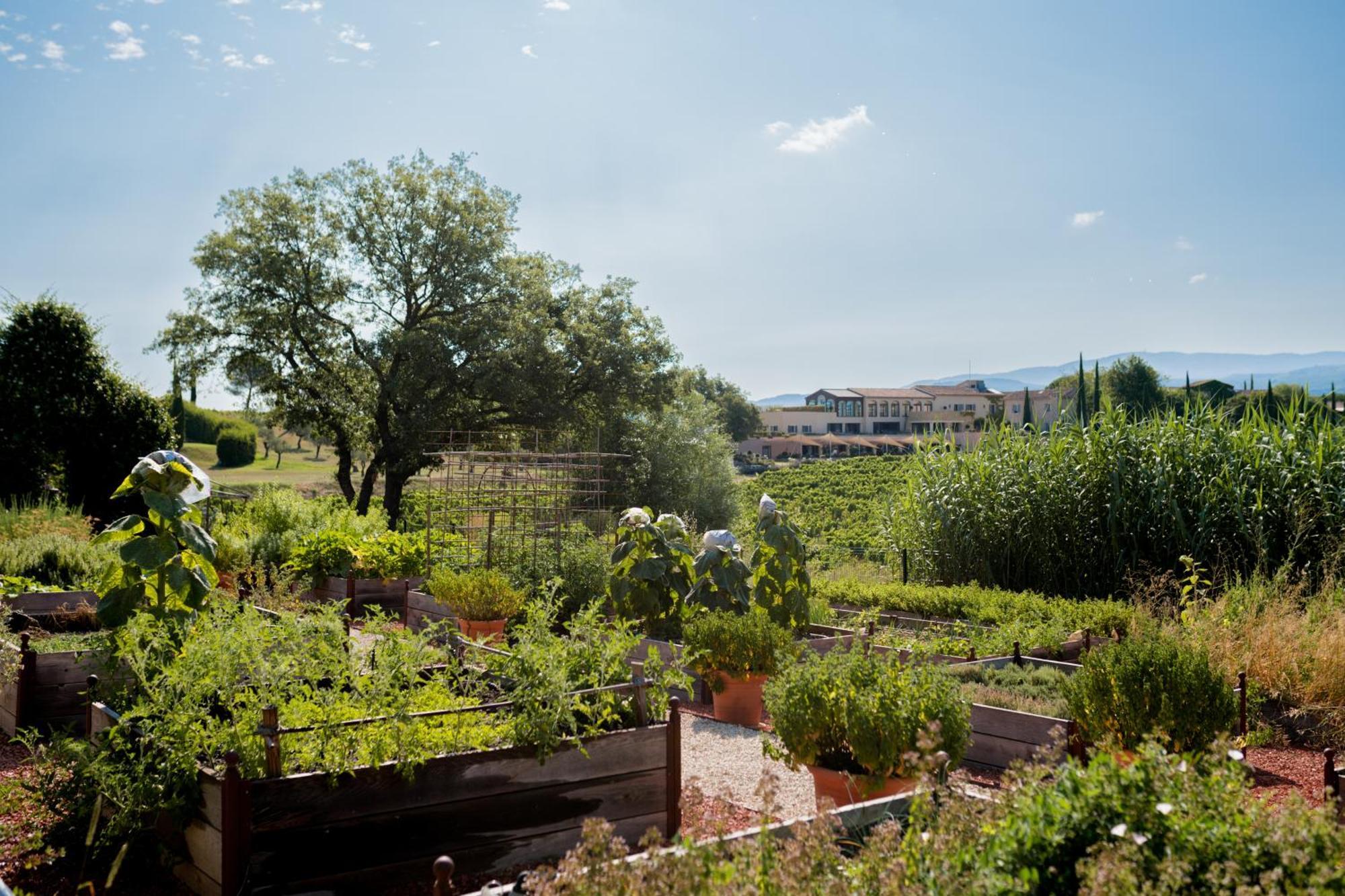 Coquillade Provence 5* Gargas (Vaucluse)