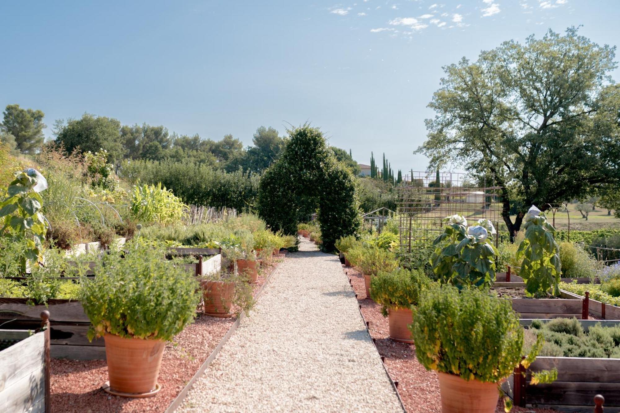 Coquillade Provence Gargas (Vaucluse)