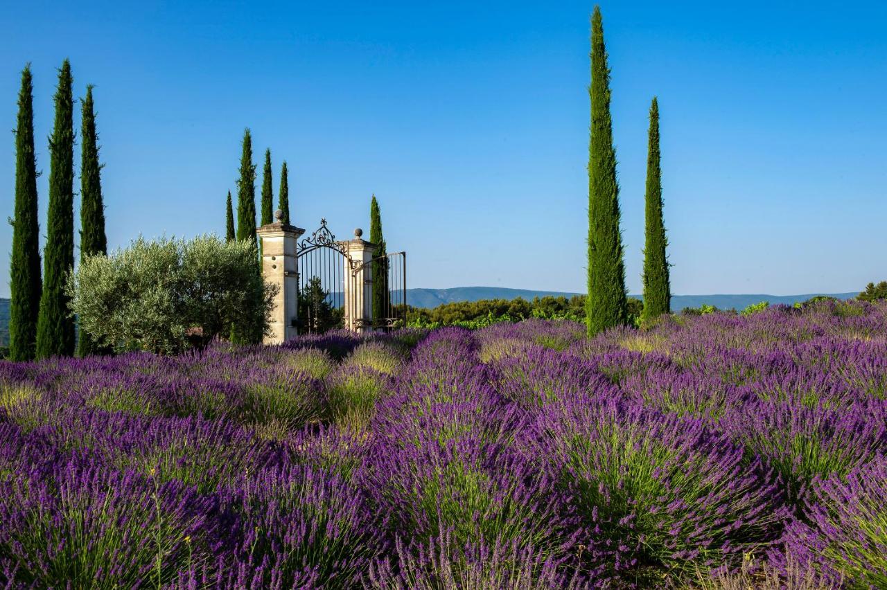 Coquillade Provence Resort&spa Hotel